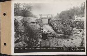 Beaver Brook below Pepper's mill pond dam, Ware, Mass., 9:30 AM, May 11, 1936