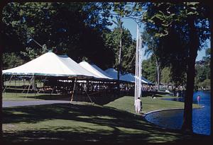 Orange art display, Boston, Public Garden