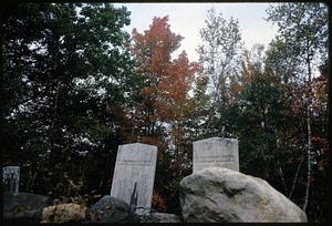 Tombstones of Makenzie W. Brown and Sarah Jane Brown, French Cemetery, Alton, New Hampshire