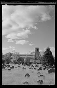 Christ Church, view from Old Burying Ground, Cambridge