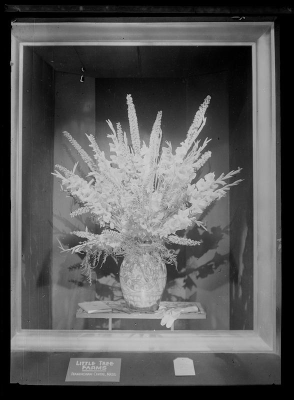 Flower display from Little Tree Farms, Framingham Centre, Mass.