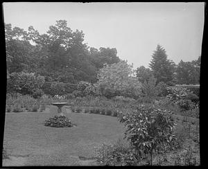 Garden with sundial