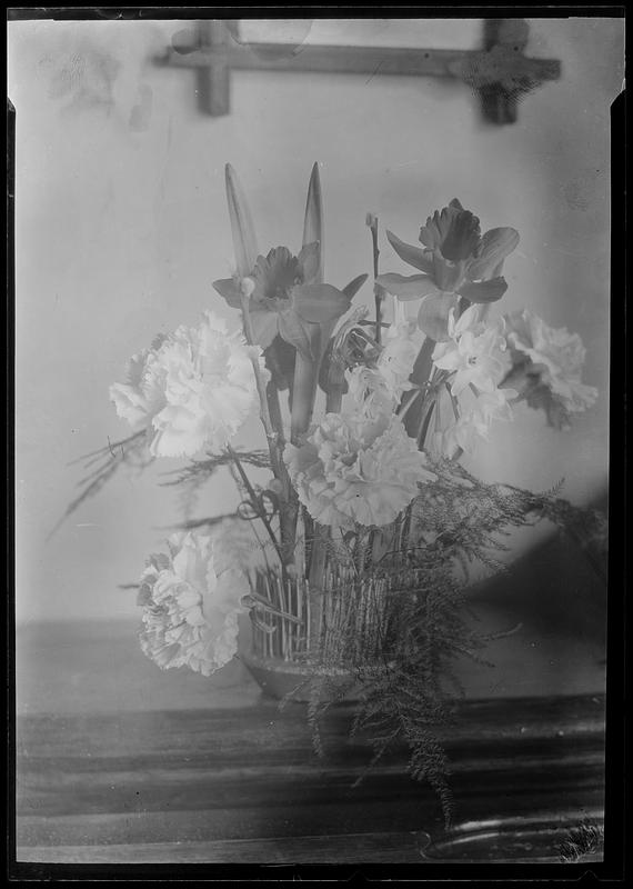 Narcissi and carnations in arrangement