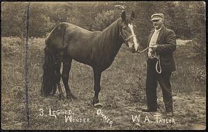 W. A. Taylor and his 3-legged horse