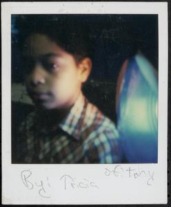 Close-up of Tony