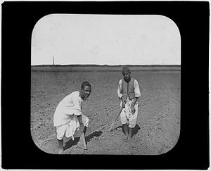 Two men working in a field