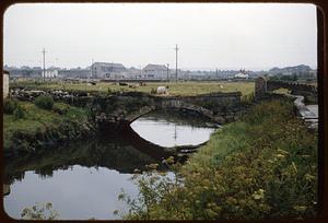 Bridge to farm, Castleisland, Ireland