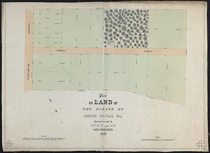 Plan of Land of the Estate of Joseph Dunbar Esq.