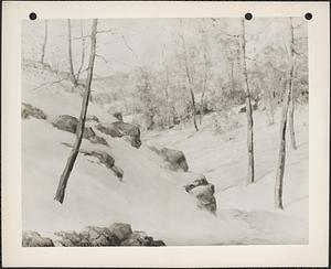 Rocky hillside