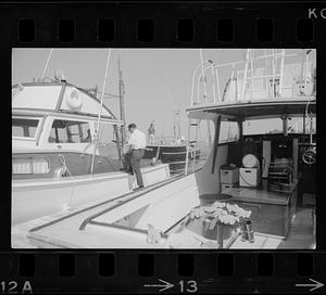 Waterfront and harbor from Tournament Wharf