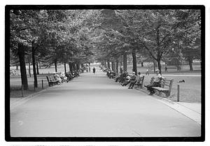 Boston Common