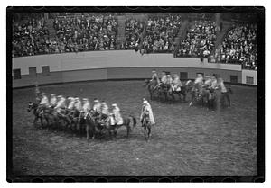 Gen. Needham polo