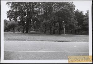 Chestnut Hill Res., Bri.