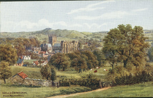 Postcard : Wells Cathedral from Milton Hill