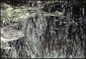 Upper branch of Charles River at Stony Brook, Norfolk