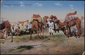 Smyrne. Campement de chameaux