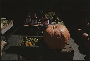 Pumpkins, cider, and other items for sale
