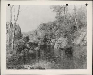 Salmon pool