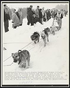 Laconia, N.H.: Harris Dunlap (18) of Bakers Mills, N.Y., mushes his team of Siberian Huskies past spectators 2/27 on his way to coming within 10 seconds of the leader of the three-day World Championship Sled Dog Derby. Dunlap came in with a time of 1 hour 17 min. 54 seconds over the 18-mile course. Dom Blodgett, of Hallowell, Me. holds the 10 second lead with the final race 2/28.