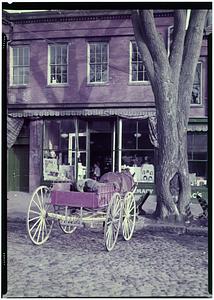 Horse and cart, Nantucket