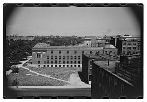 Black Forest and views from roof - Gertrude Sands