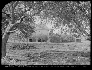 Distribution Department, Low Service Spot Pond Reservoir Watershed, manure in C. J. Teal's garden, Pond Street, near Doleful Pond, Stoneham, Mass., Oct. 7, 1904