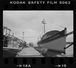 Fishing boats at Salisbury waterfront