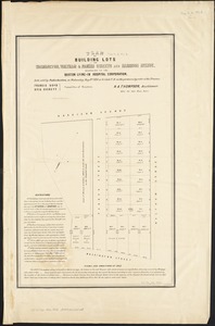 Plan of building lots on Washington, Waltham & Parker Streets and Harrison Avenue, belonging to the Boston Lying-In Hospital Corporation