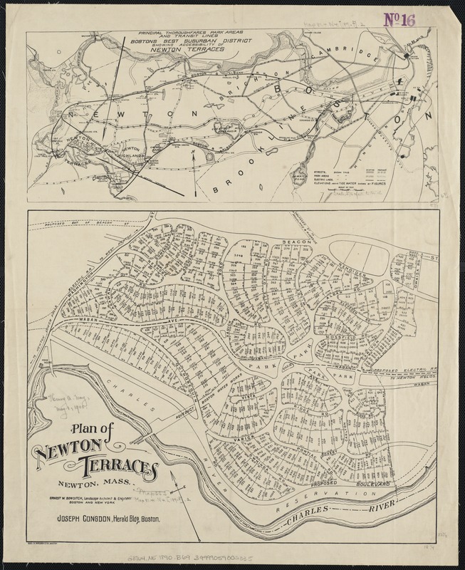 Plan of Newton Terraces, Newton, Mass