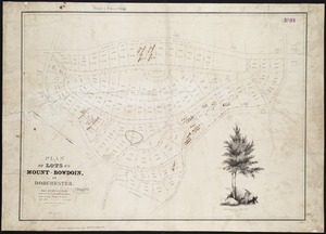 Plan of lots on Mount-Bowdoin in Dorchester