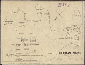 A plan of a survey of Noddles Island
