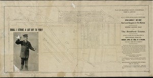 Plan of Bradford Estate, Roslindale, Ward 23, Boston