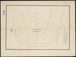 [Plan of house lots for sale on Savin Hill Avenue, Dorchester, Mass.]