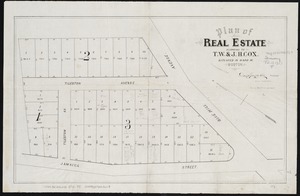 Plan of real estate belonging to T.W. & J.H. Cox