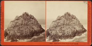 Seal Rocks, from Sugar Loaf Islands