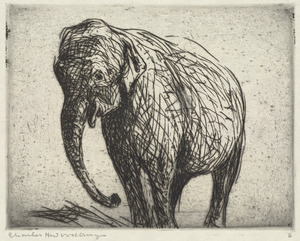 Elephant I