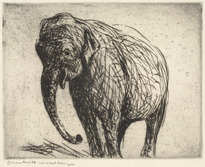 Elephant I