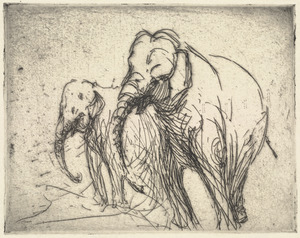 Elephant IV