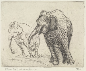 Elephants (Two)