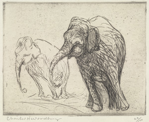 Elephants (Two)