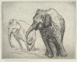 Elephants (Two)