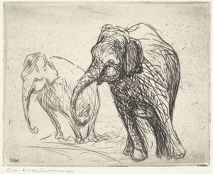 Elephants (Two)