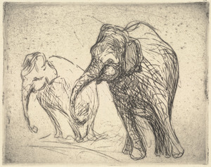 Elephants (Two)
