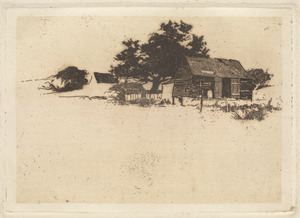 Fisherman's house with large tree