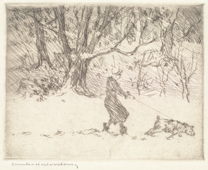 Girl and dog (cats)