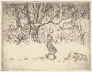 Girl and dog (cats)