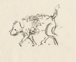 Girl and dog (cats)