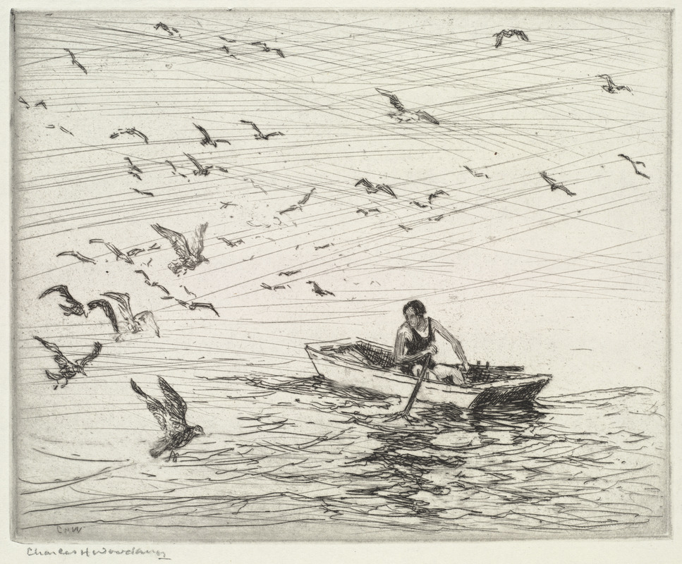 Gulls with girl in boat