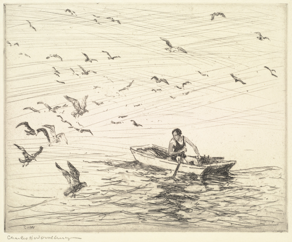 Gulls with girl in boat