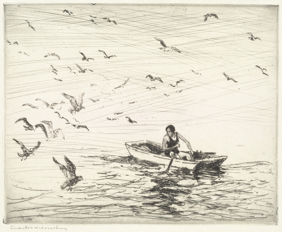 Gulls with girl in boat